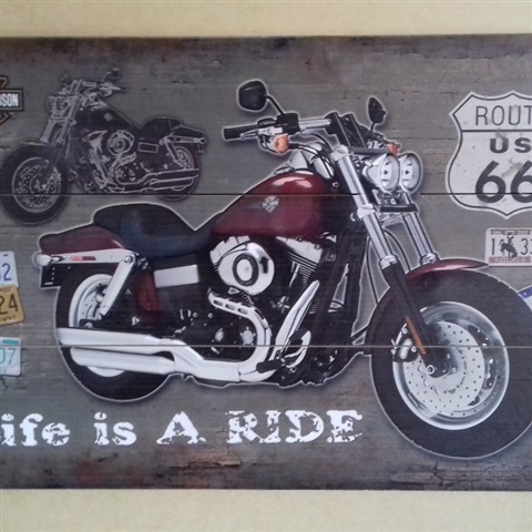Live is a ride 40 x 60 cm