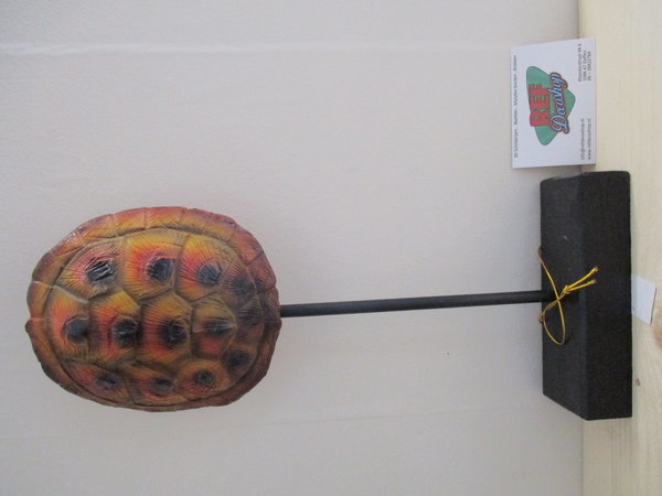 Schildpad schild klein