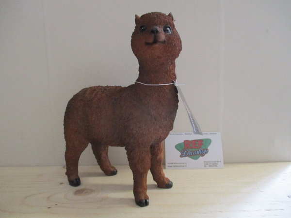 alpaca bruin klein